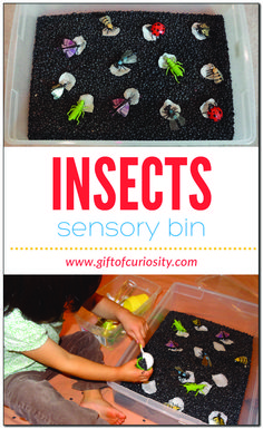 an insect activity bin filled with insects and text that reads insects sensory bin for toddlers