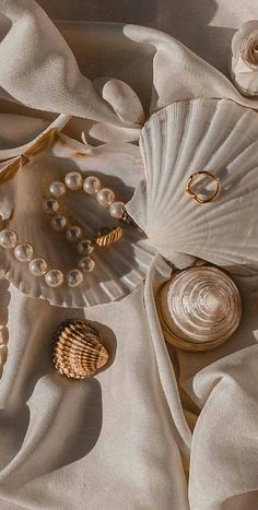 seashells and pearls on white fabric