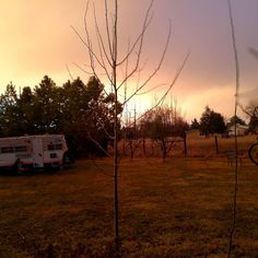 an rv is parked on the grass in front of some trees and a fence with a bike leaning against it