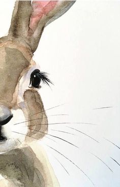 a watercolor painting of a rabbit's face