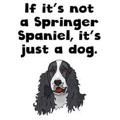 a black and white dog with the words if it's not a springer spaniel, it's just a dog