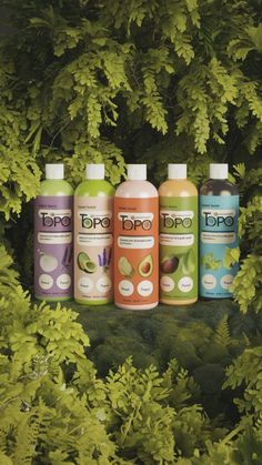 five different types of shampoos sitting in front of some green leaves and trees