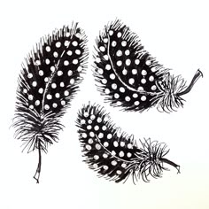 three black and white feathers with dots on them