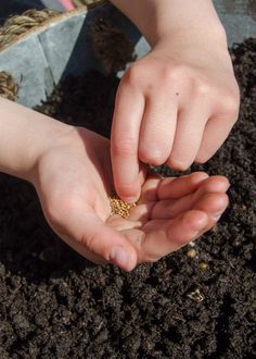 How to sow seeds with kids: simple tips to help you get it right and make it a fun gardening activity for kids at the same time! Winter Nature Crafts, Easy Winter Crafts For Kids, Outdoor Nature Activities, Easy Winter Crafts, Best Bird Feeders, Homemade Bird Feeders, Quick And Easy Crafts, Kids Outdoor Play, Environmental Education