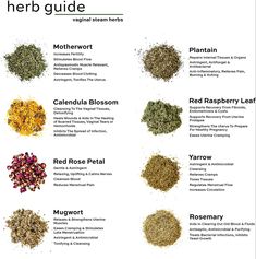 Herb Guide, Herbal Steam, Womb Healing, Medical Herbs, Magical Herbs, Herbal Apothecary, Natural Healing Remedies