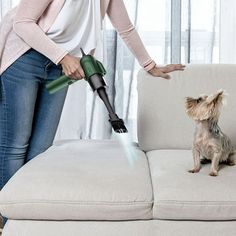 a woman vacuuming a couch with a dog sitting on it