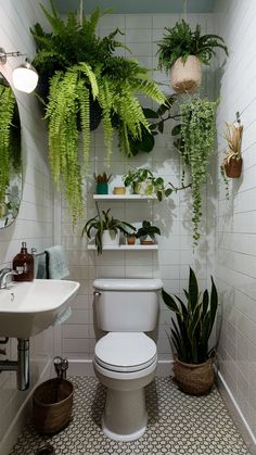 a white toilet sitting in a bathroom next to a sink and potted plants on the wall