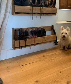 a small white dog sitting on the floor in front of some wooden shoe racks with shoes hanging from them