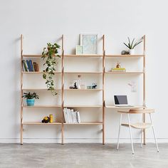 a wooden shelf filled with books and plants next to a white wall in an office