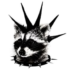 a black and white photo of a raccoon with spikes on it's head