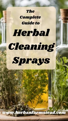 the complete guide to herb cleaning sprays on a table with herbs in glass bottles