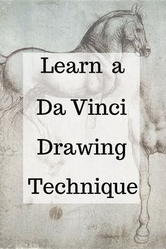 a drawing of a horse with the words learn davinci drawing technique