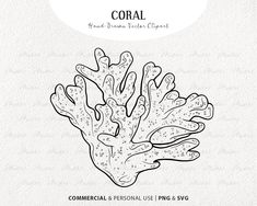 an illustration of corals with the words coral in black and white ink on it