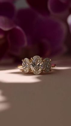 three stone ring sitting on top of a table next to purple and white flower petals