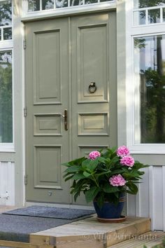 a potted plant sitting in front of a door on the steps to a house