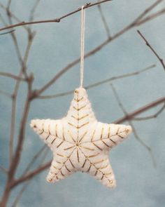 a white star ornament hanging from a tree branch