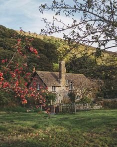 an apple tree in front of a house with red apples on the trees and green grass