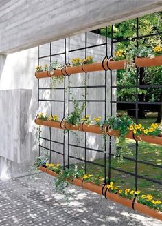 an outdoor garden with flowers and plants growing on it