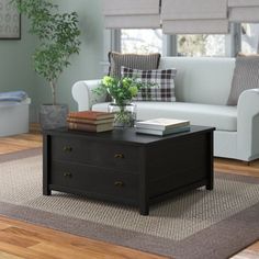 a living room scene with focus on the couch and coffee table in front of the window