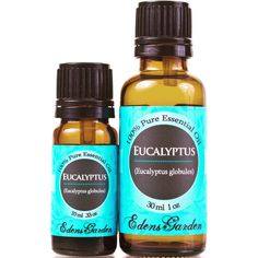 Eucalyptus Oils is the best body massages & body oils with 100% pure nature . Great for as aromatherapy .          www.Pickvitamin.com Eucalyptus Oil Uses, Essential Oils Herbs, Oil Uses, Diy Health, Aromatherapy Oils, Essential Oil Uses, Essential Oil Recipes, Back To Nature