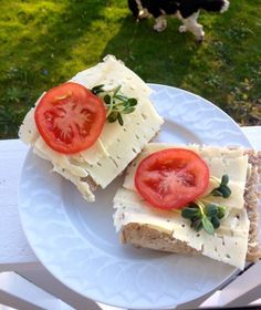 two slices of bread with cheese and tomatoes on them, sitting on a white plate