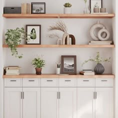 some shelves with plants and pictures on them