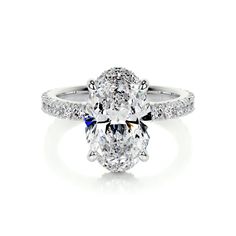 Classic Halo Diamond Ring For Proposal, Classic Halo Ring For Wedding Proposal, Classic Oval Diamond Ring With Pave Setting, Oval Halo Ring With Pave Setting For Anniversary, Oval Diamond Ring With Pave Setting In Platinum, Oval White Gold Diamond Ring With Pave Setting, Oval Platinum Diamond Ring With Pave Setting, Oval Diamond Promise Ring With Halo, Oval Platinum Diamond Ring For Proposal