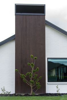 a small tree sitting in front of a white building