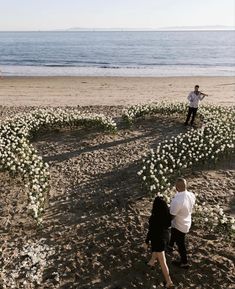 two people are walking on the beach with white flowers in the sand and one person is taking pictures