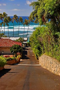 an empty street leading to the beach with palm trees on either side and ocean in the background