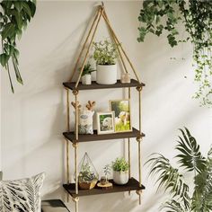 three shelves with plants and pictures on them