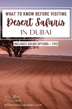 desert scene with text overlaying what to know before visiting desert safaris in dubai