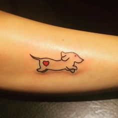 a small dog with a heart tattoo on the arm