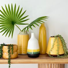 various vases are arranged on a shelf next to a palm leaf and potted plant