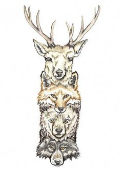 three deer heads with antlers on them