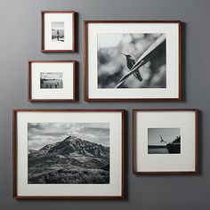 four framed photographs hang on the wall