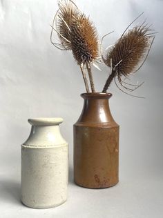 two vases with dried plants in them on a white tableclothed background, one is brown and the other is white