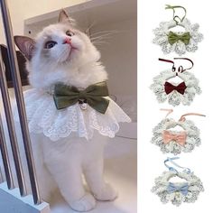 a white cat wearing a green bow tie and matching headbands with other accessories