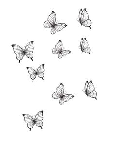 several butterflies flying in the air with one on top of it's back end