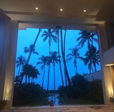 an open door with palm trees in the background