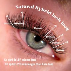 Whisky Lash Extensions Map, Natural Looking Lash Extensions Mapping, Fluffy Classic Lash Extensions Map, Lash Map Hybrid Cat Eye, Hooded Eye Lash Extension Mapping, Light Hybrid Lash Extensions Map, Short Hybrid Lash Extensions Mapping, Short Classic Lash Extensions Mapping, Hybrid Lash Extensions Vs Classic