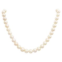 Every girl needs a strand of pearls before her jewelry collection is complete. These 18 inches of freshwater pearls are a great choice! And the well matched pearls with beautiful hints of pink and tan and have a nice luster makes them even more special. The details for this beautiful necklace are listed below: Metal Quality: 14K Yellow Gold Gemstone: Freshwater Pearl Gemstone Number: 42 Gemstone Shape: Round 9 - 9.5mm Gemstone Color: White Pearl With Hints of Pink Necklace Length: 17in Clasp: Pearl Clasp Pearl Gold Necklace, Strand Of Pearls, Pearl Clasp, Pearl Jewelry Necklace, Gold Pearl Necklace, Girl Needs, Pink Necklace, Star Jewelry, Pearl Strands