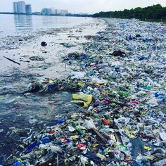 a large amount of trash floating on top of a river next to a shore line