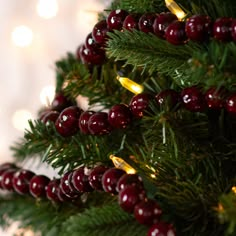 a close up of a christmas tree with red berries and lights on the branches in the background