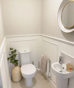 a white toilet sitting next to a sink in a bathroom under a mirror and a potted plant