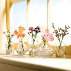 several vases with flowers in them sitting on a window sill