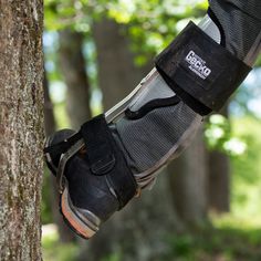 a pair of black shoes hanging from the side of a tree in a wooded area