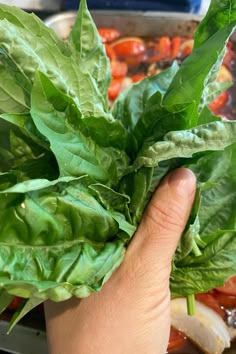 a hand is holding some green leafy vegetables in front of a pan full of food