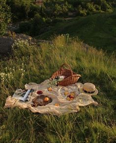 a picnic is set out in the grass