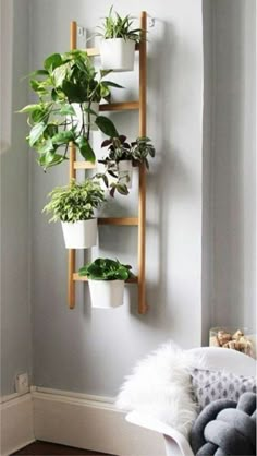 a wall mounted shelf with plants on it